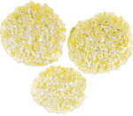 Lisa, tolmuimeja lapp K&auml;rcher