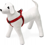 Koerte traksid Karlie ASP Step & Go, punane, 250 - 450 mm x 15 mm, S