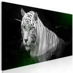 Reproduktsioon Artgeist Shining Tiger KR33, 120 cm x 40 cm