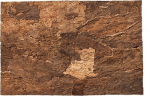Terraariumi taust Terra Natura Virgin, 600 mm x 300 mm