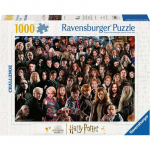 Pusle Ravensburger Challenge Harry Potter, 50 cm x 70 cm, 1000 tk, mitmev&auml;rviline