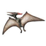 M&auml;ngukujuke, dinosaurus Bullyland Museum Line Pteranodon, 30.7 cm, hall