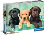Pusle Clementoni Compact Three Labs 39946, 50 cm x 70 cm, 1000 tk, mitmev&auml;rviline