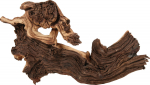 Akvaariumi dekoratsioon Zolux Mopani Root Large, pruun v.