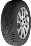 Talverehv Toyo Tires Observe S944 225/40/R20, 94-V, XL, D, B, 71 dB