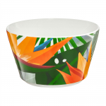 V&auml;ike kauss Ambition Paradise, valge v./mitmev&auml;rviline, 14 cm