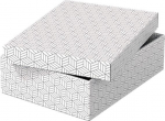 S&auml;ilituskarbi komplekt, esemete hoidmiseks Esselte, valge v., 36 x 26.5 x 10 cm