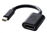Adapter Dell Mini Display port male, Display port female