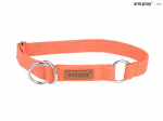 Kaelarihm koertele Amiplay Cotton, oranž, 340 - 550 mm x 30 mm, 34-55