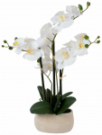 Kunsttaim potis, orhidee Home4you Wind In Garden, beež v., 55 cm