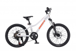 Laste jalgratas, laste Gust Flow Active, h&otilde;be v., 20"