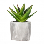 Kunsttaim potis, sukulent, roheline, 14 cm